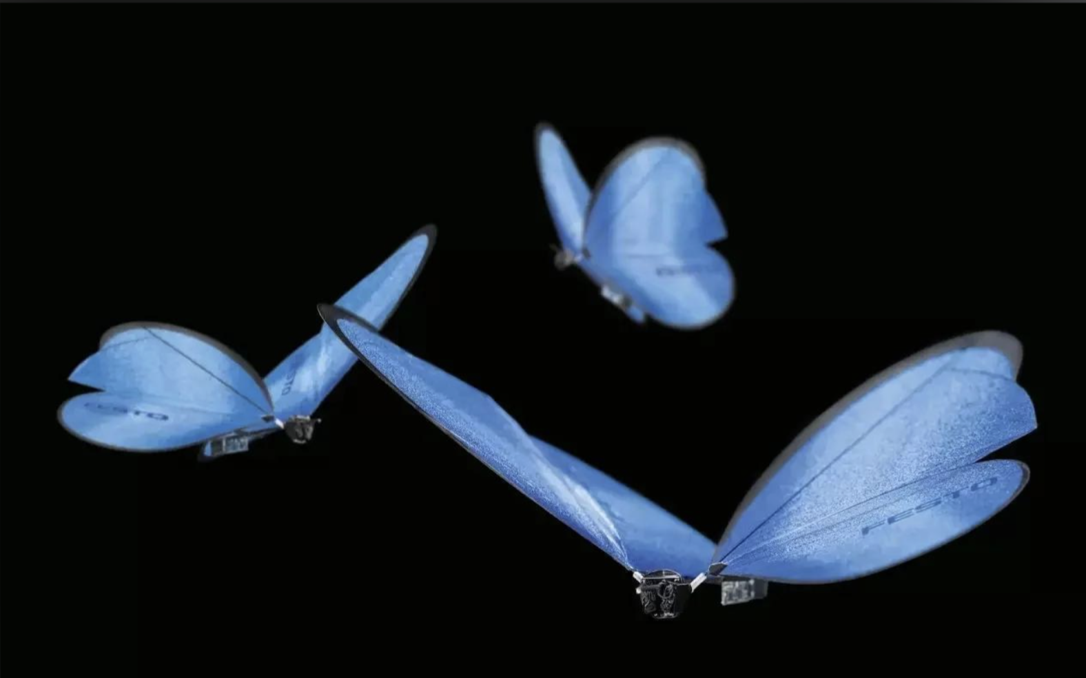 仿生蝴蝶科创
